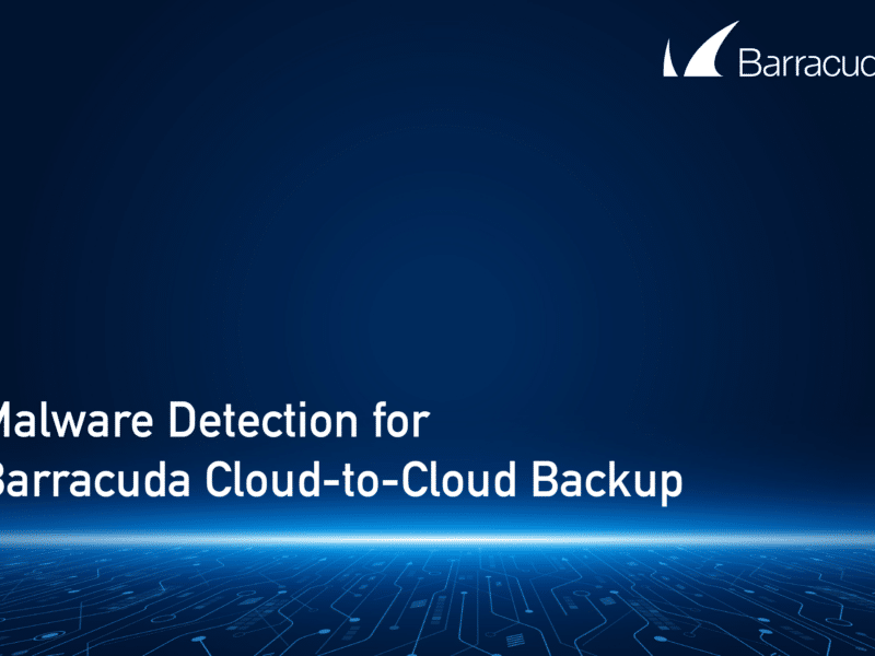 Barracuda visual